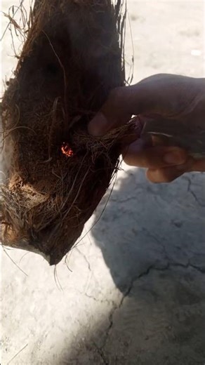 How to make fire using glass #shorts