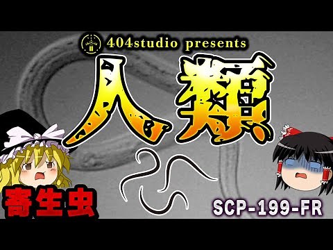 【ゆっくりSCP解説】人類とは一体何なのか？【SCP-199-FR:人類】