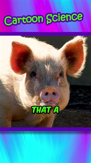 Margo Ate Pig's Milk Cheese