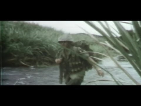 VA reviewing denied medical claims related to Agent Orange exposure