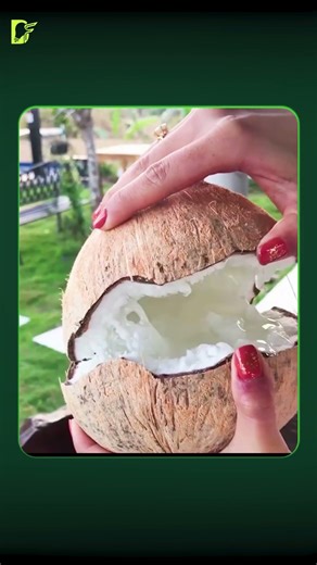 The Rare "Mutant" Coconut You Need to Try!#facts #didyouknow #mindblowingfacts