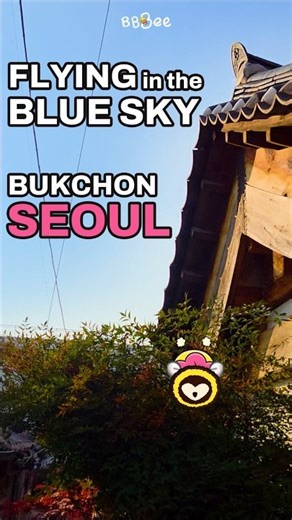 Flying Through Bukchon, Seoul