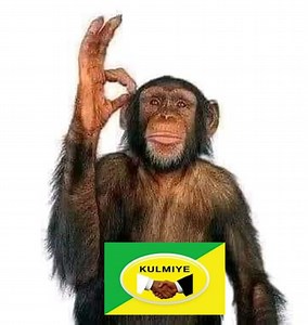 117K views · 5.6K reactions | Kulmiye wuxuu lumiyey Ciise Muuse oo ah Reerka kaliya ee Qaab Milatari u fuuli kara Buuraha ka Caagan isbiishal foorsiska藍 Ciise Muusow Dawga sheikh dega藍‍♂️ | Tooshka Siyaasadda | Facebook