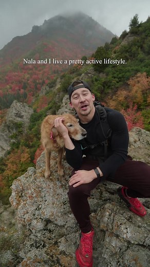 #ad Nala stomps and @Fitbit Charge 6 helping me reach my daily activity goal #FitbitByGoogle #dog