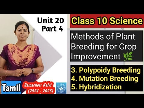Methods of Plant Breeding - Polyploidy Breeding, Mutation Breeding and Hybridization| Class 10