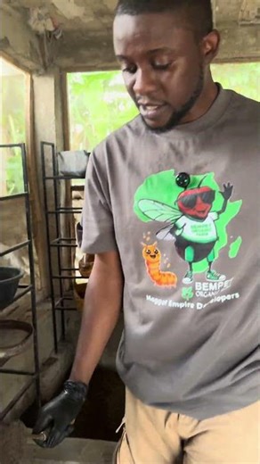 We are using insects now to liberate the agricultural sector so that farmers can make better profits