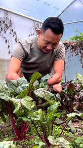 3M views · 124K reactions | Just wondering… Why do so many people...