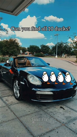 Can you find 10 hidden Ducks?👀🦆Only 1% spot them all #challengevideo #duckpuzzle #spotthedifference