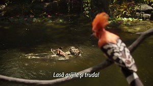 40K views · 633 reactions | Poveștile prind viață în #filmeleCineGrand! The Jungle Book - Cartea Junglei revine într-o nouă ecranizare de excepție, de data aceasta cu efecte speciale impresionante! Dacă îți era dor de Mowgli, de ursul Baloo, pantera Bagheera sau de amuzantele maimuțe, începând cu această săptămână vei vea ocazia să îi revezi la Cine Grand Romania într-o nouă aventură din sălbatica junglă! | Cine Globe Romania | Facebook
