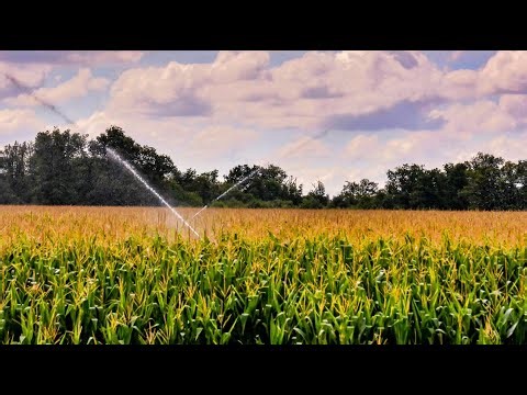 Transforming The Coast Region: Feeding The Future