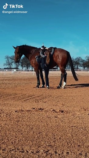 Angel Widmoser on TikTok