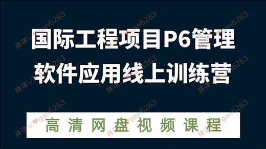 网盘分享国际工程项目P6管理软件应用线上训练营