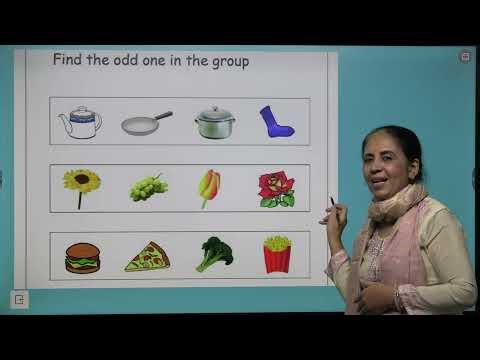 Chapter 7 Analogy and Classification | Aptitude and Reasoning Class 3 | Blueprint Digital