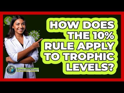 How Does The 10% Rule Apply To Trophic Levels?