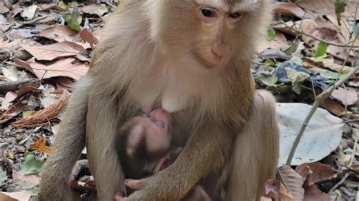 8.5K views · 177 reactions | ‍Anyone who raises their hand and...