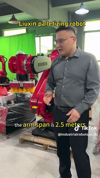 Advanced Six-Axis Palletizing Robot Insights