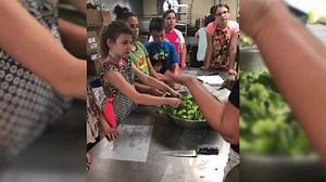 Fun on the Farm: $1 Summer Camp