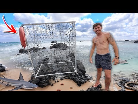 I built the WORLDS LARGEST Saltwater Fish Trap on an Island!?!