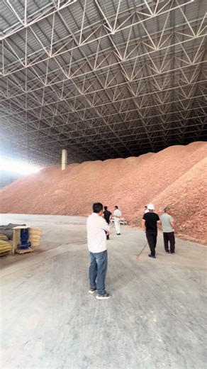 Steel Grid Storage Shed: 20m High Structure Overview