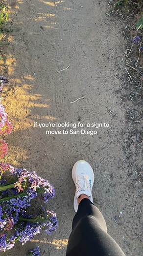 Move to San Diego - Your Sign Awaits!