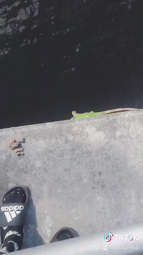 Celebrating 130k Followers with a Classic Throwback