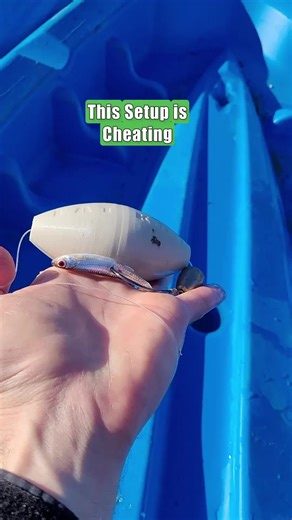 Best Setup for Avoiding Skunked Experiences