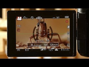 Lumix FZ2000 / FZ2500 / FZH1 / How to shoot with an Achromat best 4K Macro Footage / Quick Tip