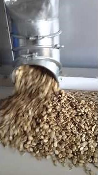 Akyurek Technology - Water Melon Seed Super Fine Screen Cleaner and Gravity Separator