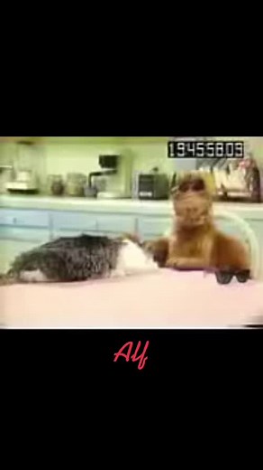 #MadeWithKeurigContest #fyp #foryoupage #foryoupageofficiall #HausLabsFoundation #foryou #trending #viral #viralvideo #bloopers #alf