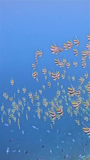 GoPro 13 Maldives Life: Best Tips & TikTok Edit Templates