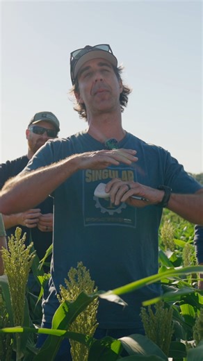 Corn trivia time. 🌽 The highest-yielding state isn’t Iowa or Illinois—it’s Washington. With high desert conditions, irrigation, and sandy soils, they’re basically growing corn hydroponically. California holds the world record, but Washington leads the U.S. in average yield per acre. Just shows how environment shapes production. #farm #farming #corn #yield #agriculture #farmtok #fyp | Singular Agronomics