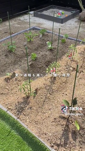 庭に畑を作る方法｜2ヶ月で大量収穫した家庭菜園の始め方