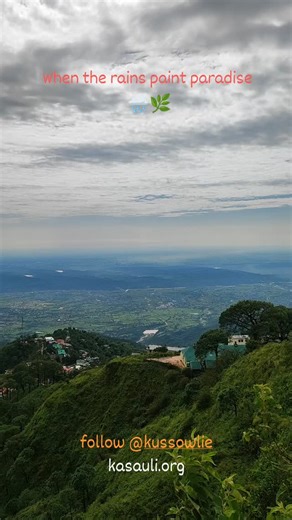 After 16-18 hours of nonstop rain, nature paints a breathtaking view — from Kasauli to Chandigarh’s Sukhna and the serene Kaushalya Dam in Pinjore 🌧️🌿✨ | Kasauli