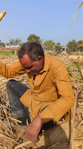 Exploring Creative Green Screen Movie Techniques