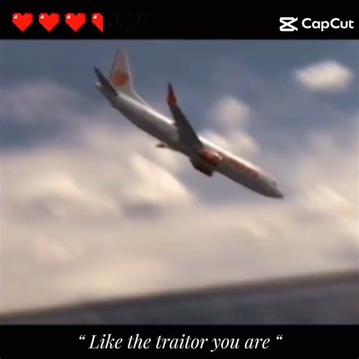 lion air Fell into the Java Sea #aviation #plane #pesawat #airplane #planecrash
