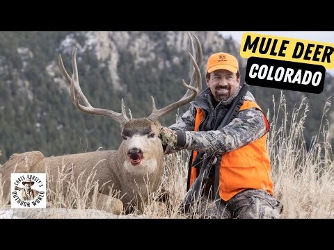 Epic Hunt for Heavy Colorado Mulies