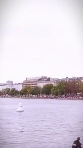 Incredible  #Swoop #Freestyle #SwoopFreestyle #AirSports #Skydiving #CanopyPiloting #skyjumping #goprohero #gopro #skydiving #skydivers #skydivingadventure #skyjump #skydivinglife #skydivingrocks #alliwanttodoisfly #tasteofflight #highflyers #iwanttogofast #iheartskydiving #black #cypress #skydivingsports #skyismyplayground #nowords #purebliss #happyplace #groundismylimit #iloveskydiving #blueskies | Skydiving Sport | Facebook