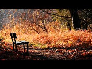 Vojta Zícha - Jedenkrát