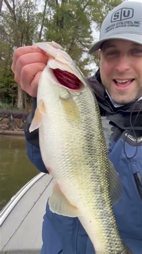 Lake Murray Fishing on a COLD December morning ‪@bruiserbaits1671‬ ‪@FillALimitFishing‬