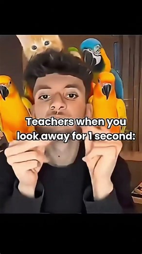 You cannot find me green screen