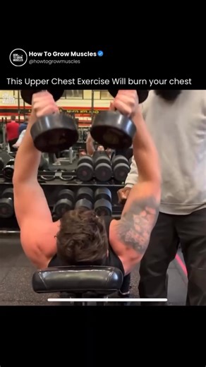 How To Grow Muscles on Instagram: "Read caption ⤵️ Intensity is required in every set for growth; otherwise, you are just wasting time in the gym. Anyways….. If you’re reading this, that means you’re serious about building muscle and an aesthetic physique, right? I just created a Testosterone Booster Guide for the first 500 people for FREE. Comment “Htg” and I’ll DM it to you!"