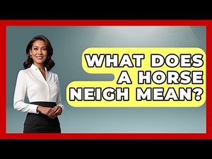 What Does A Horse Neigh Mean? - The Horses Stable