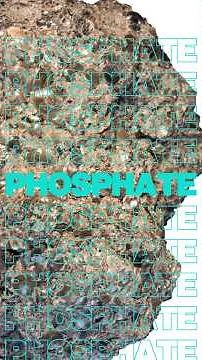 Phosphate: The Hidden Mineral Feeding the World and Powering the Future