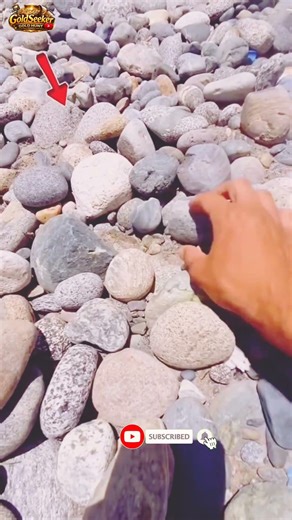 This One Beep Changed Everything #goldseeker#metaldetecting#treasurehunting#treasure#treasuresearch