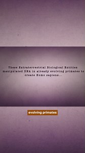 89K views · 2.4K reactions | All questions and mysteries about the evolution of Homo sapiens on this planet have been answered. | Unexplained on Gaia | Facebook