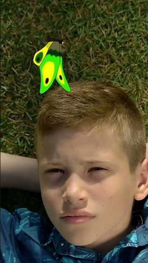 🎧 Did you know sound has intensity, pitch, timbre, and duration? 🎶 | ‪@HappyLearningENG‬