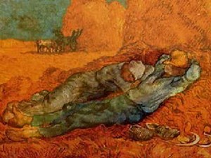 Fields of Gold - A Tribute to Eva Cassidy