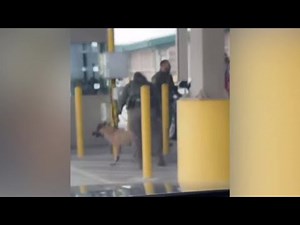 VIDEO: Border Patrol launches investigation into K9 abuse at Falfurrias checkpoint