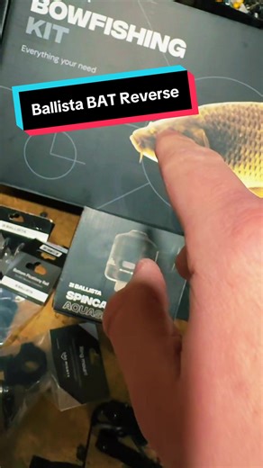 Compact reverse draw mini crossbow built for deer hunting and bowfishing Small setup big power Easy to carry fast to shoot and accurate on land or water! Link in bio #hunting #bowhunting #bowfishing #deerhunting #outdoors