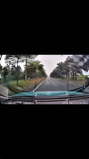 Ơ con bò ở đường 100 | Mê Linh Online